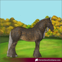 Horse Color:Silver Buckskin 