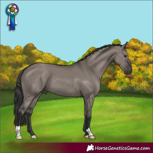 Horse Color:Grullo