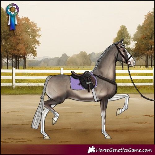 Horse Color:Silver Blue Onyx Sabino Splash