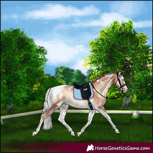 Horse Color:White Spotted Silver Amber Champagne Onyx Splash Tobiano Rabicano Brindle