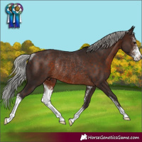 Horse Color:Silver Brown Sabino Rabicano