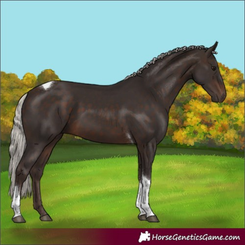 Horse Color:White Spotted Silver Brown Tobiano