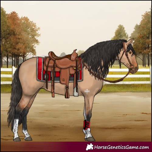 Horse Color:Bay Dun Tobiano 