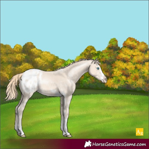Horse Color:Perlino Varnish
