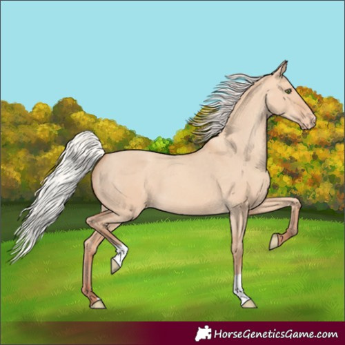 Horse Color:Silver Amber Champagne Dun Varnish 