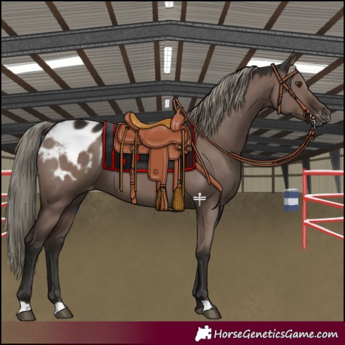 Horse Color:Liver Red Dun Mushroom Varnish 