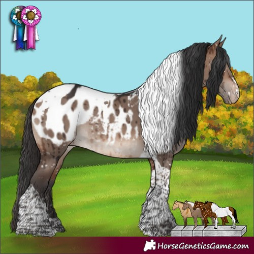 Horse Color:Brown Dun Mushroom Tobiano Appaloosa Rabicano Brindle 