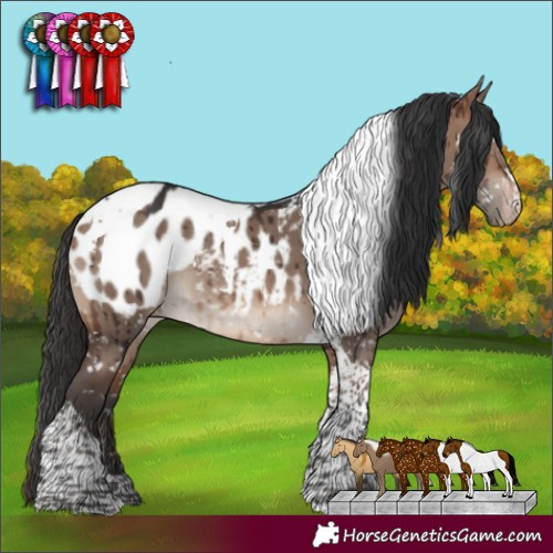 Horse Color:Brown Dun Mushroom Tobiano Blanket Rabicano Brindle