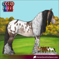 Horse Color:Brown Dun Mushroom Tobiano Blanket Rabicano Brindle 