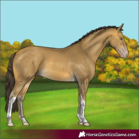 Horse Color:Sable Cream Champagne Tobiano Rabicano