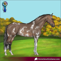 Horse Color:White Spotted Brown Dun Tobiano Rabicano 