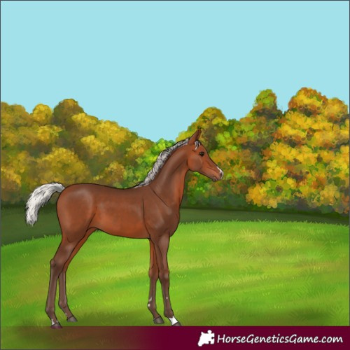 Horse Color:Silver Brown 