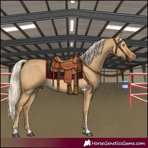 Horse Color:Palomino Dun Rabicano 