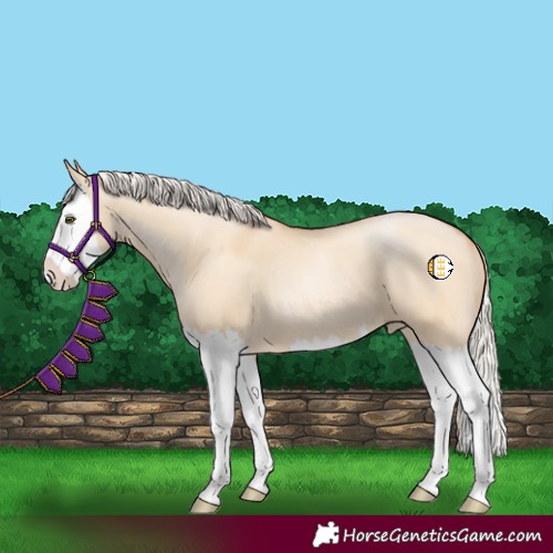 Horse Color:Silver Bay Pearl Dun Splash 