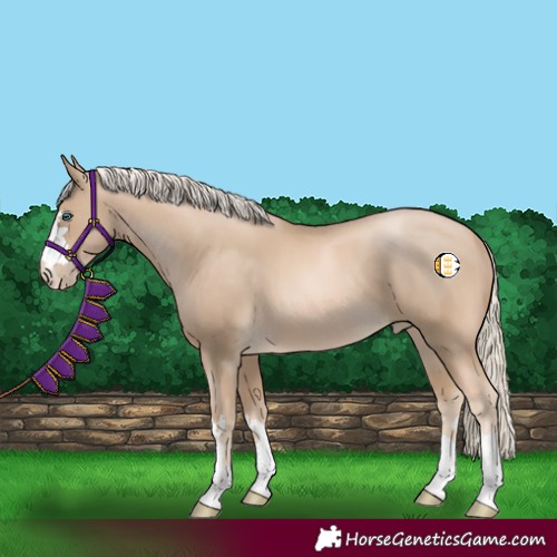 Horse Color:Chocolate Palomino Pearl