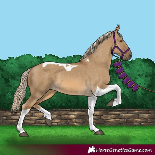 Horse Color:Chocolate Palomino Dun Tobiano