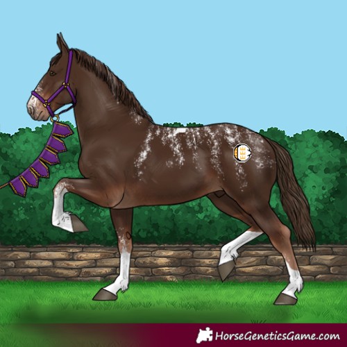 Horse Color:Powder White Liver Chestnut Tobiano