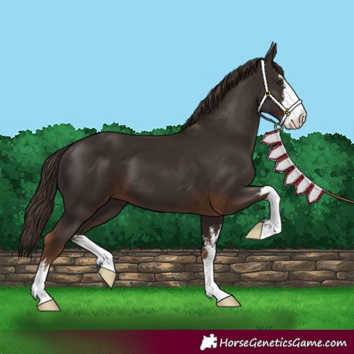 Horse Color:White Spotted Liver Chestnut 