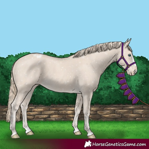 Horse Color:Smoky Creme Splash Snowflake Varnish