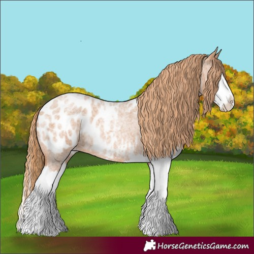 Horse Color:Red Roan Splash Blanket