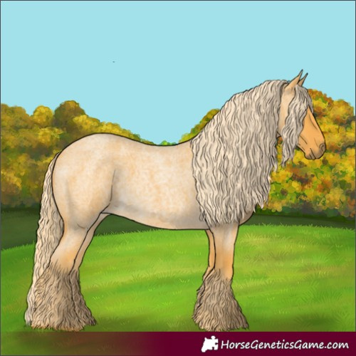 Horse Color:Palomino Roan 