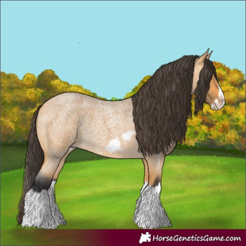 Horse Color:Buckskin Roan Splash Frame Rabicano 