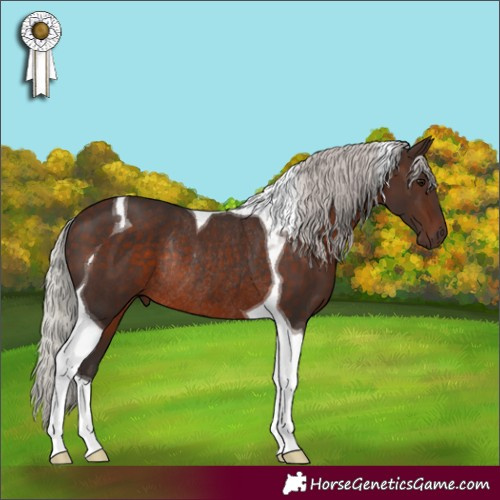 Horse Color:Silver Brown Tobiano Rabicano 