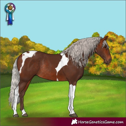Horse Color:Silver Bay Tobiano Rabicano 