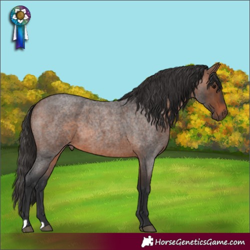 Horse Color:Brown Roan 