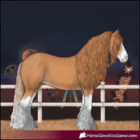 Horse Color:Chestnut Splash
