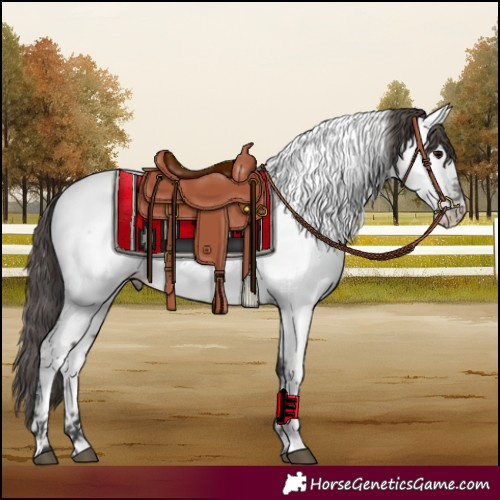 Horse Color:Grullo Near Fewspot 