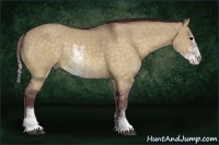 Horse Color:Chocolate Buckskin Dun Sabino Rabicano 