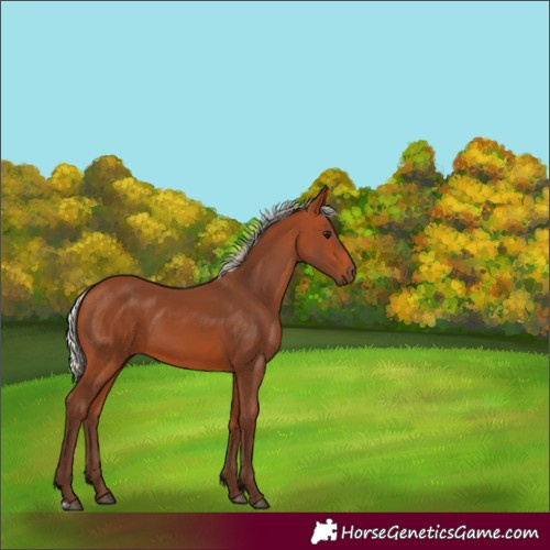 Horse Color:Silver Bay