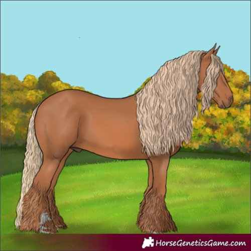Horse Color:Chestnut 