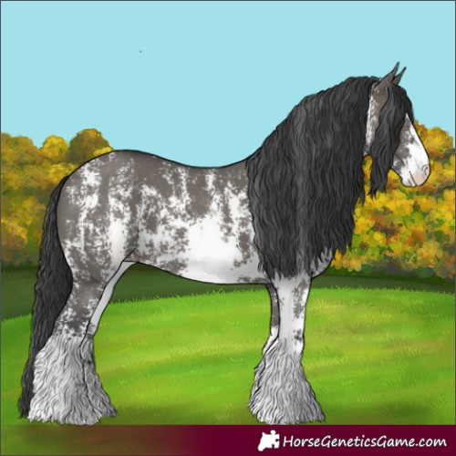 Horse Color:Grullo Sabino 