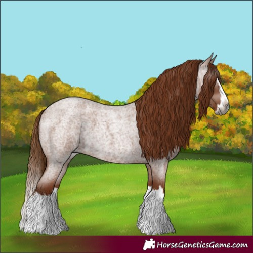 Horse Color:Gray Red Roan Splash 