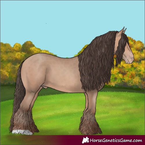 Horse Color:Amber Champagne