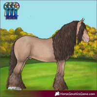 Horse Color:Amber Champagne 