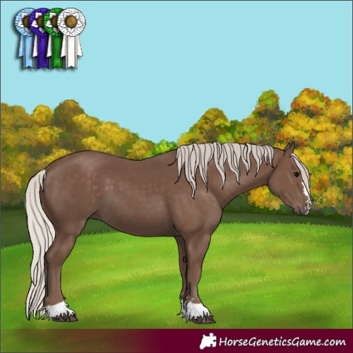 Horse Color:Silver Black 