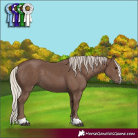 Horse Color:Silver Black 