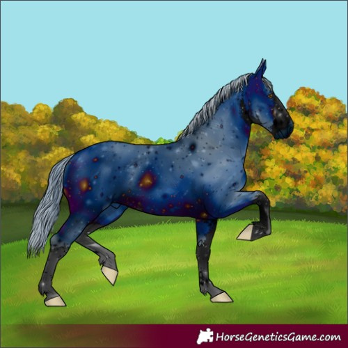 Horse Color:ERROR: UNKNOWN ANOMALY