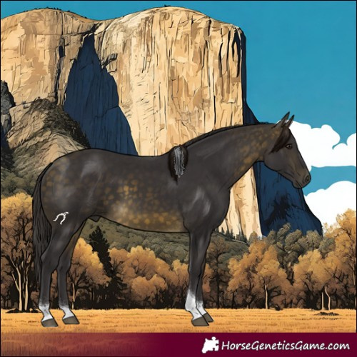 Horse Color:Buckskin Tobiano