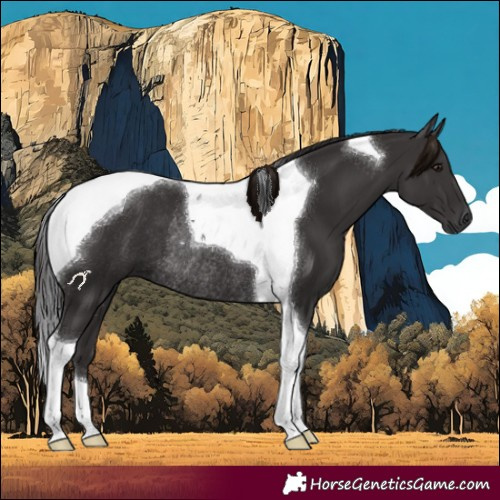 Horse Color:Smoky Black Tobiano Rabicano 