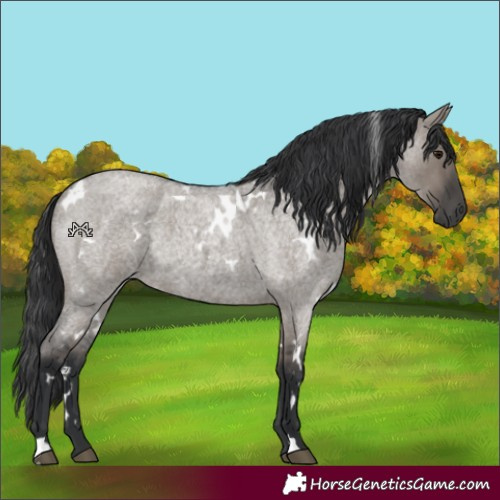 Horse Color:Unknown 
