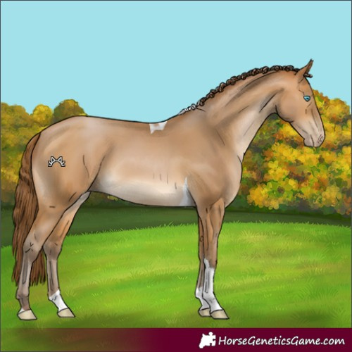 Horse Color:Gray Buckskin Pearl Tobiano