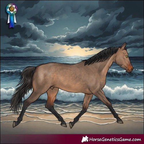 Horse Color:White Spotted Brown Dun Rabicano 