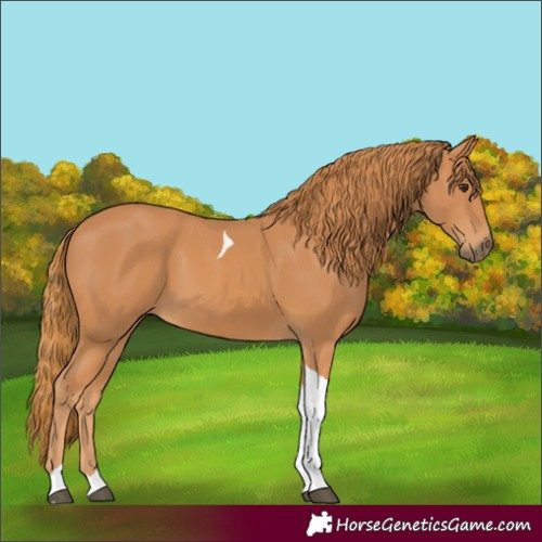 Horse Color:Chestnut Tobiano Rabicano 