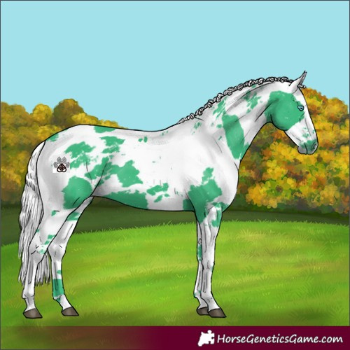 Horse Color:Watercolor Black Harlequin Merle 