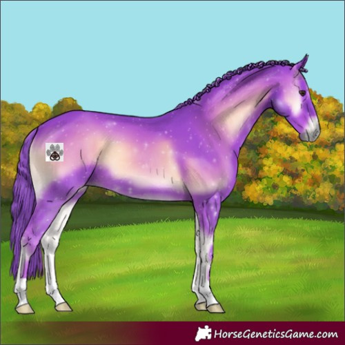 Horse Color:Watercolor Red Onyx 