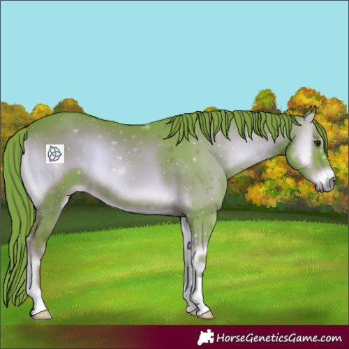 Horse Color:Watercolor Liver Red Onyx